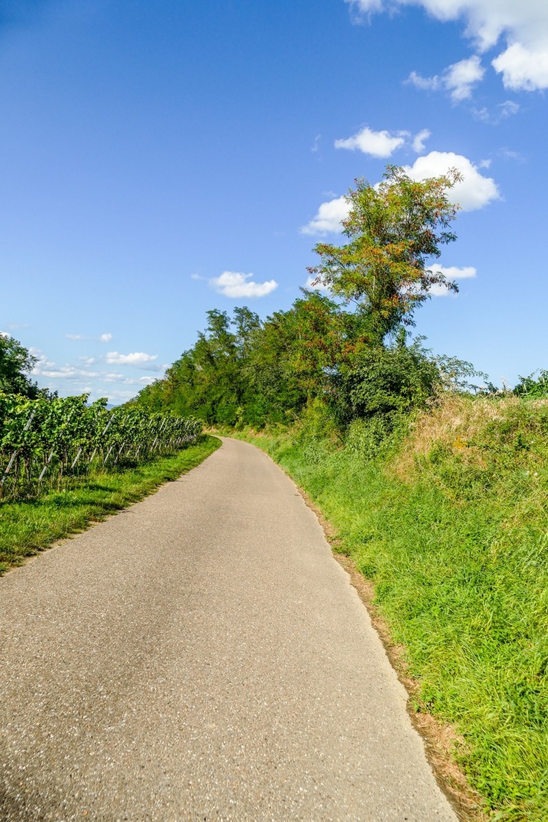 田园骑拍（南德）