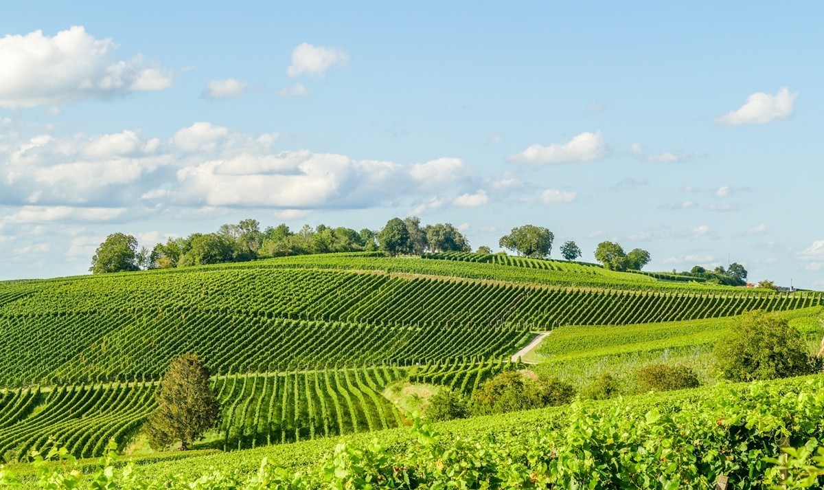田园骑拍（南德）