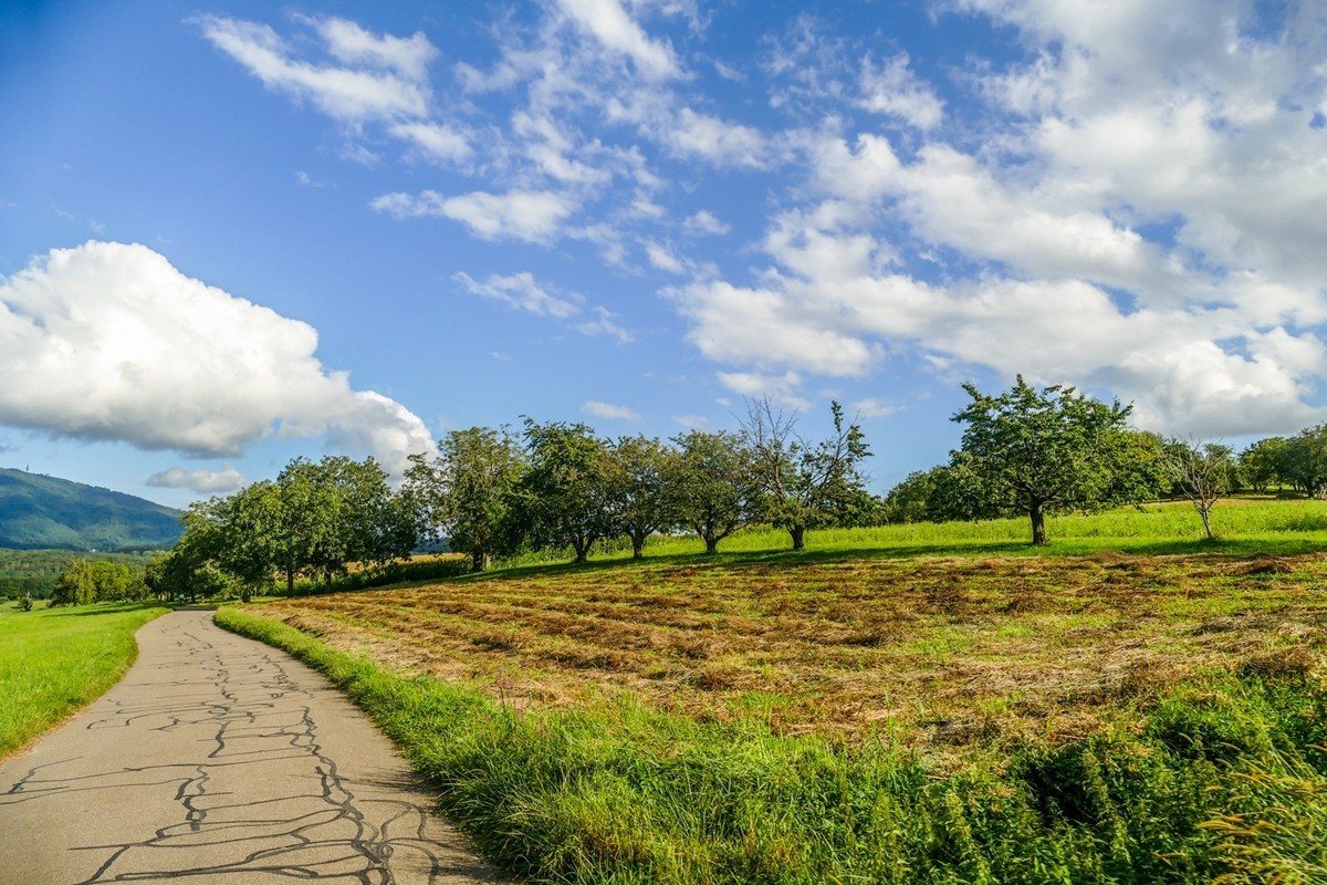 田园骑拍（南德）