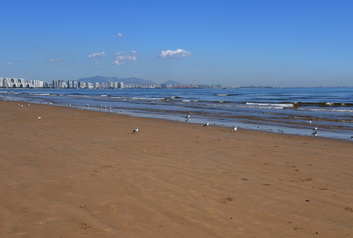 北戴河浅水湾海滩拾影（续）