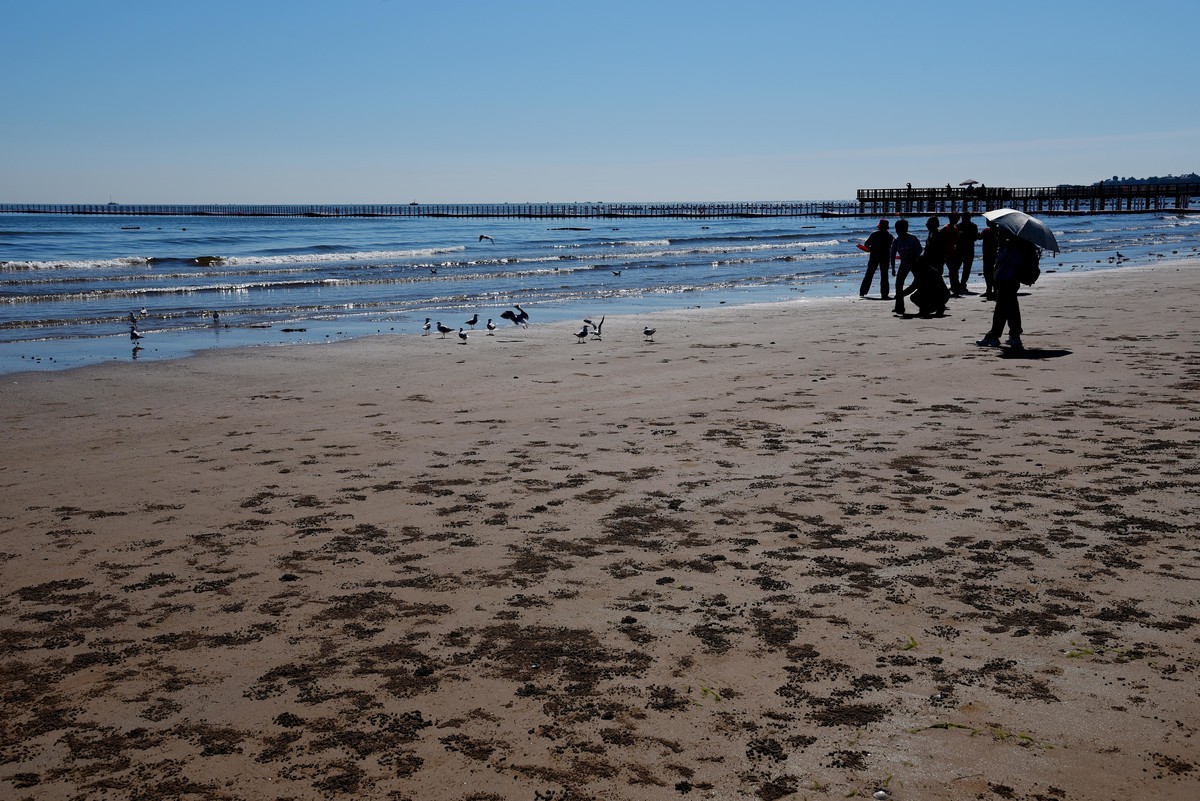 北戴河浅水湾海滩拾影（续）