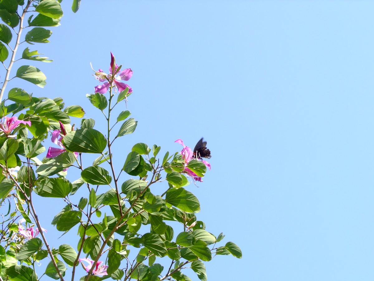 2008年的相机还是可以的