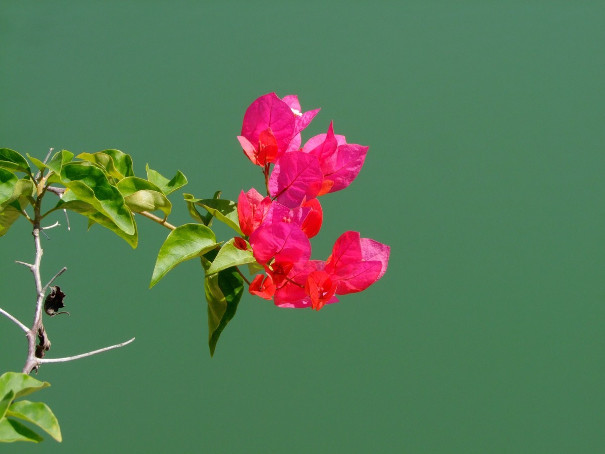 2008年的相机还是可以的