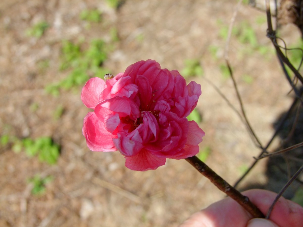 2008年的相机还是可以的