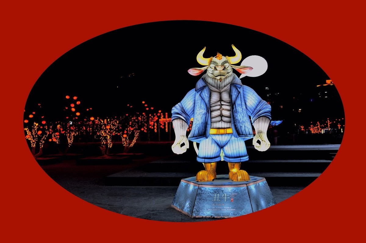 灯展十二属性的新春祝福