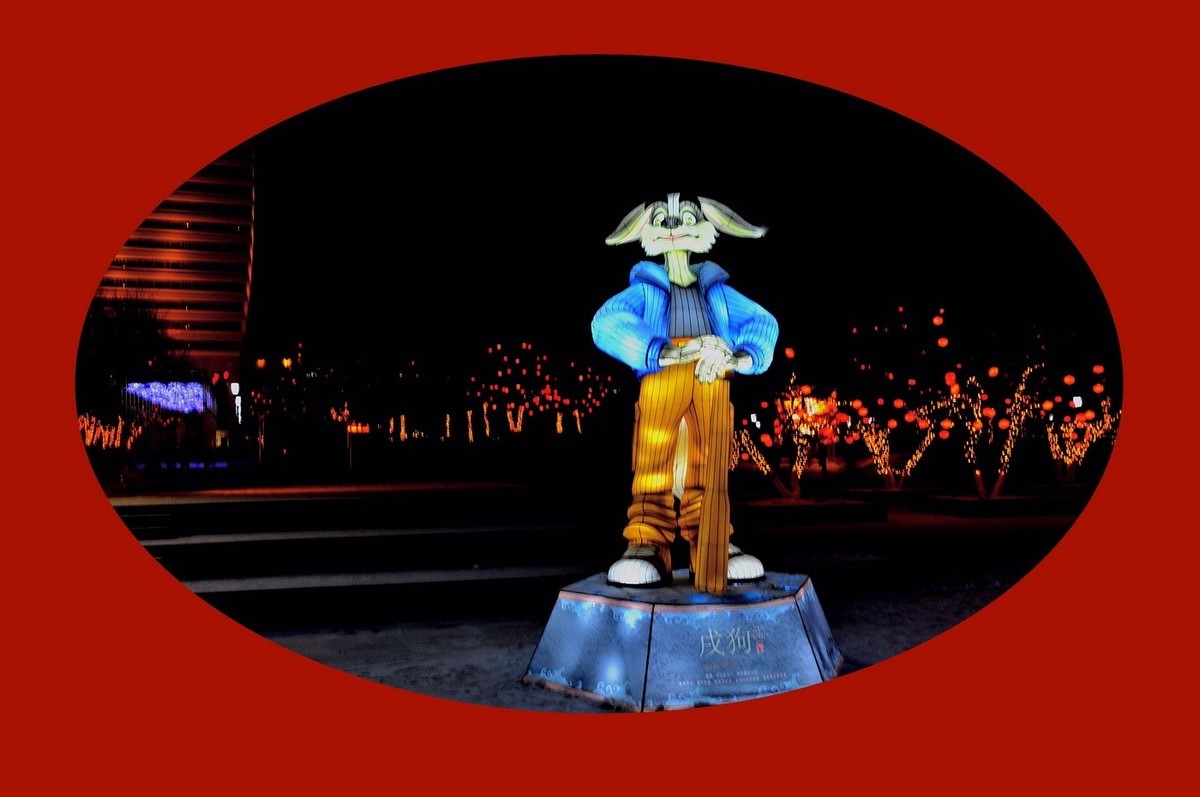 灯展十二属性的新春祝福