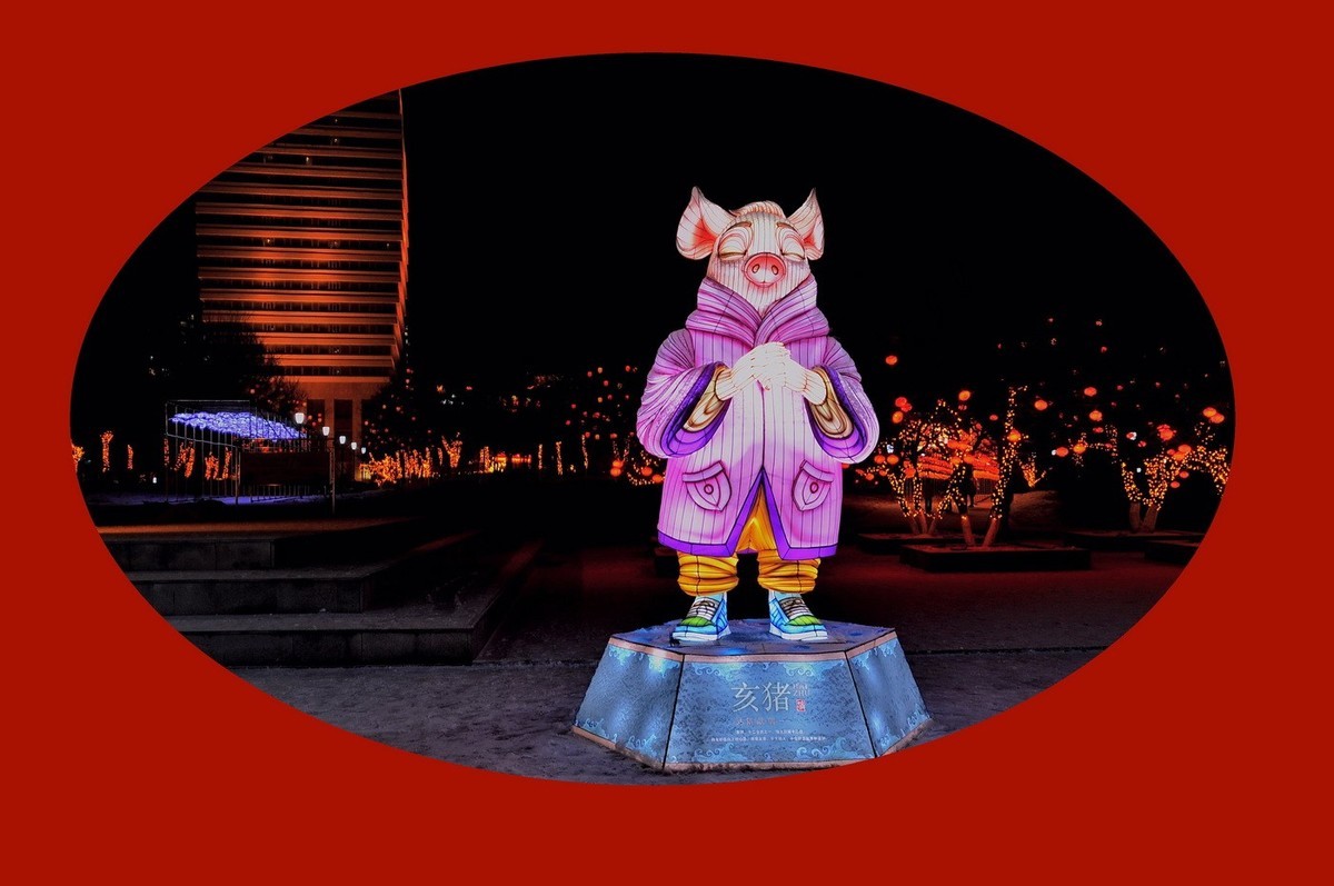 灯展十二属性的新春祝福