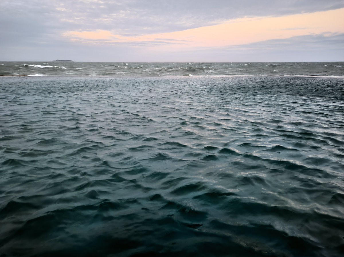 2025春节 广东行（66）红海湾两侧迥然不同