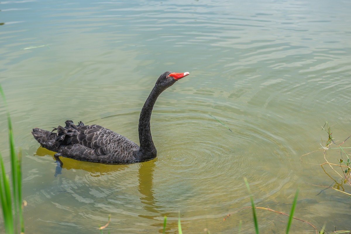 松山湖风光（华为全球研发基地）