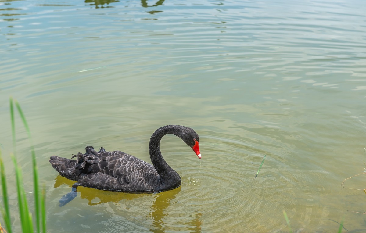 松山湖风光（华为全球研发基地）