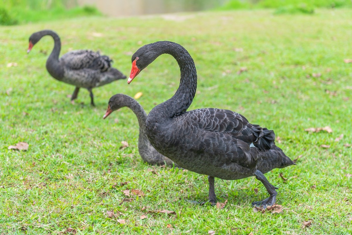 松山湖风光（华为全球研发基地）