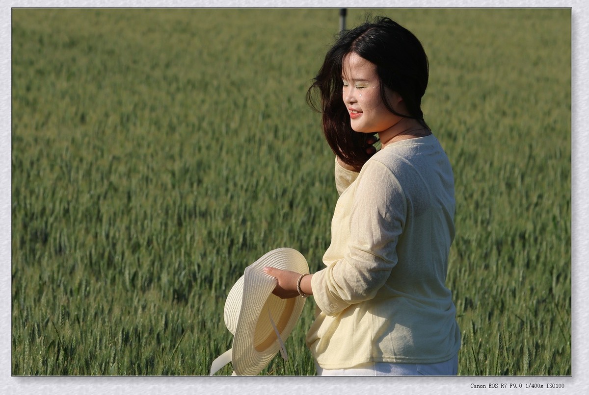 麦田【乙巳年132】