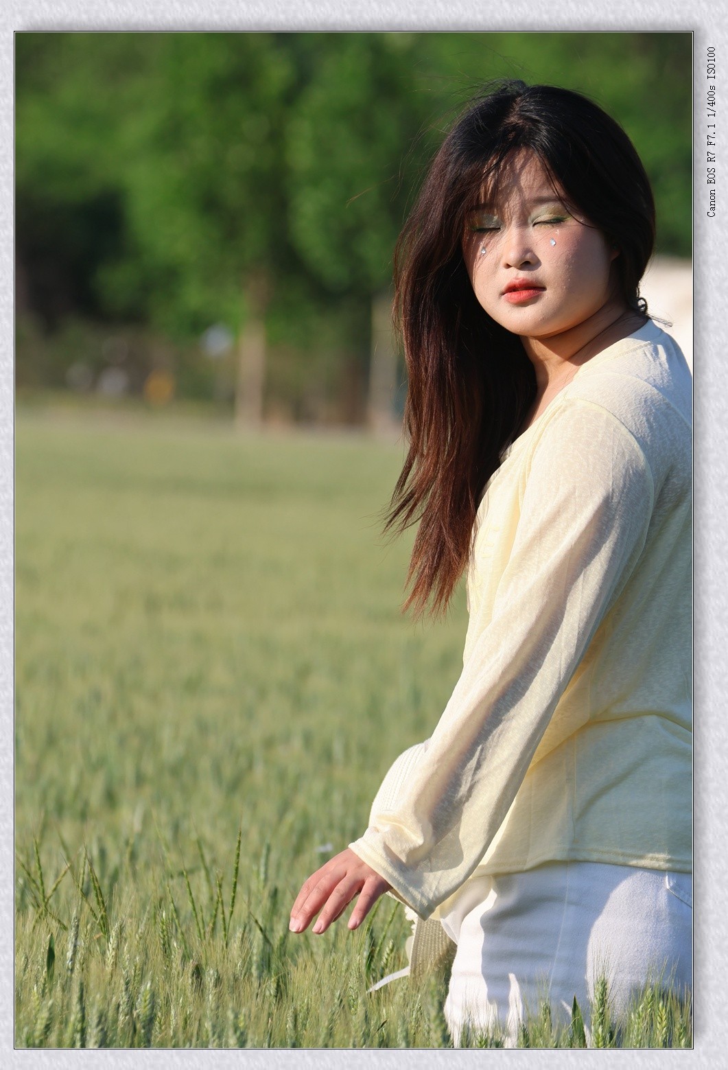 麦田【乙巳年132】