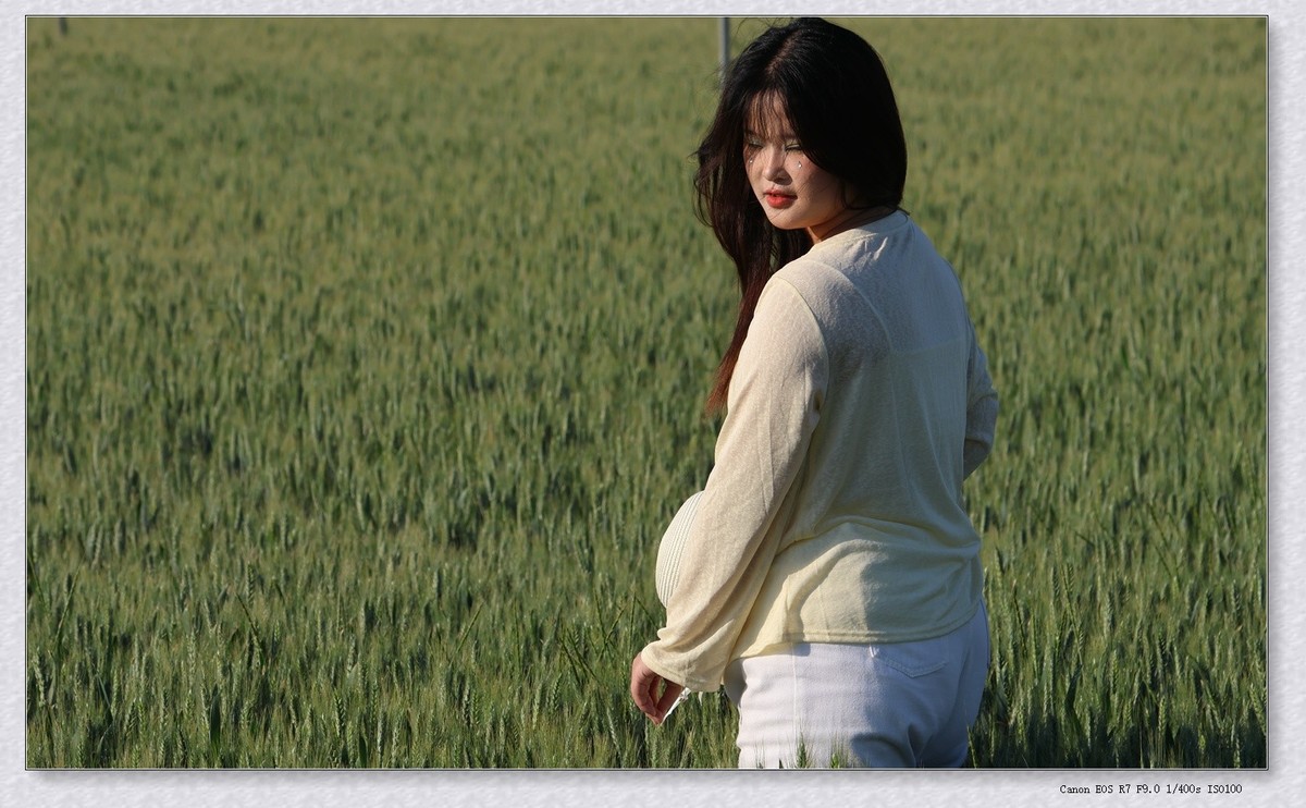 麦田【乙巳年132】