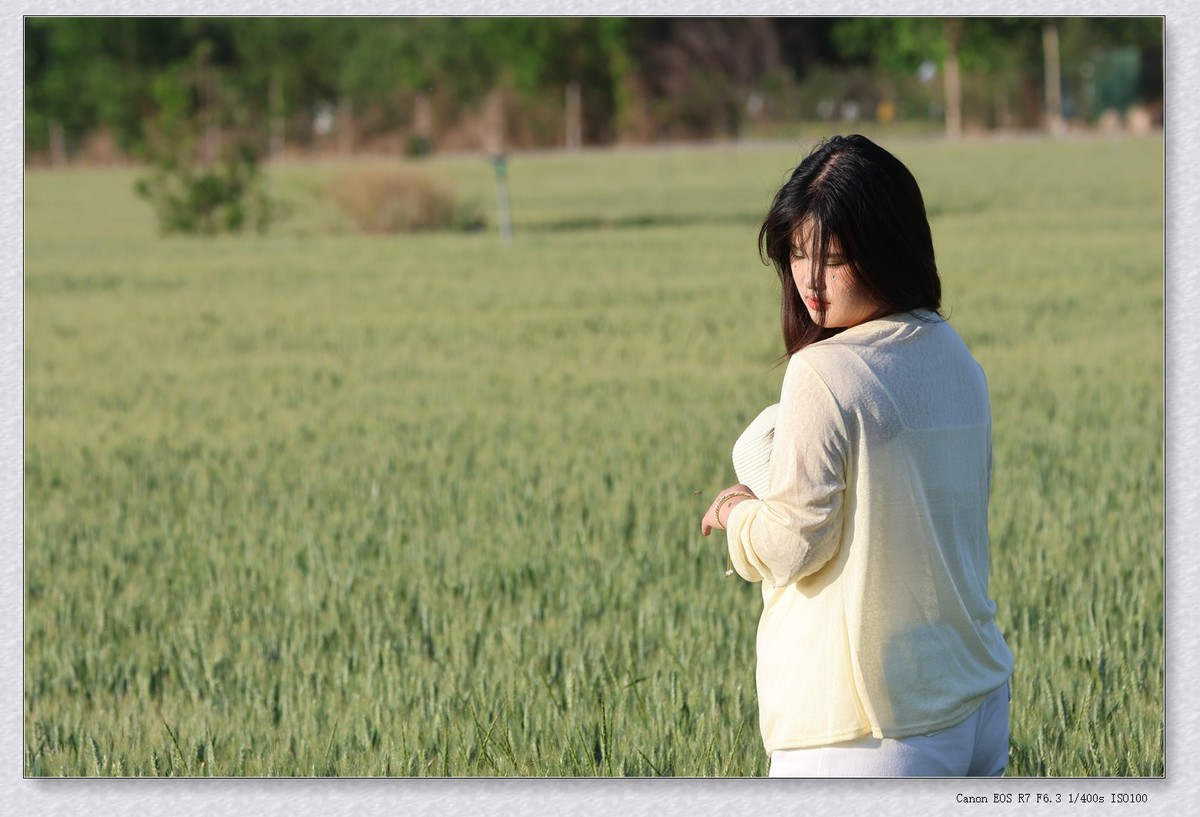 麦田【乙巳年132】