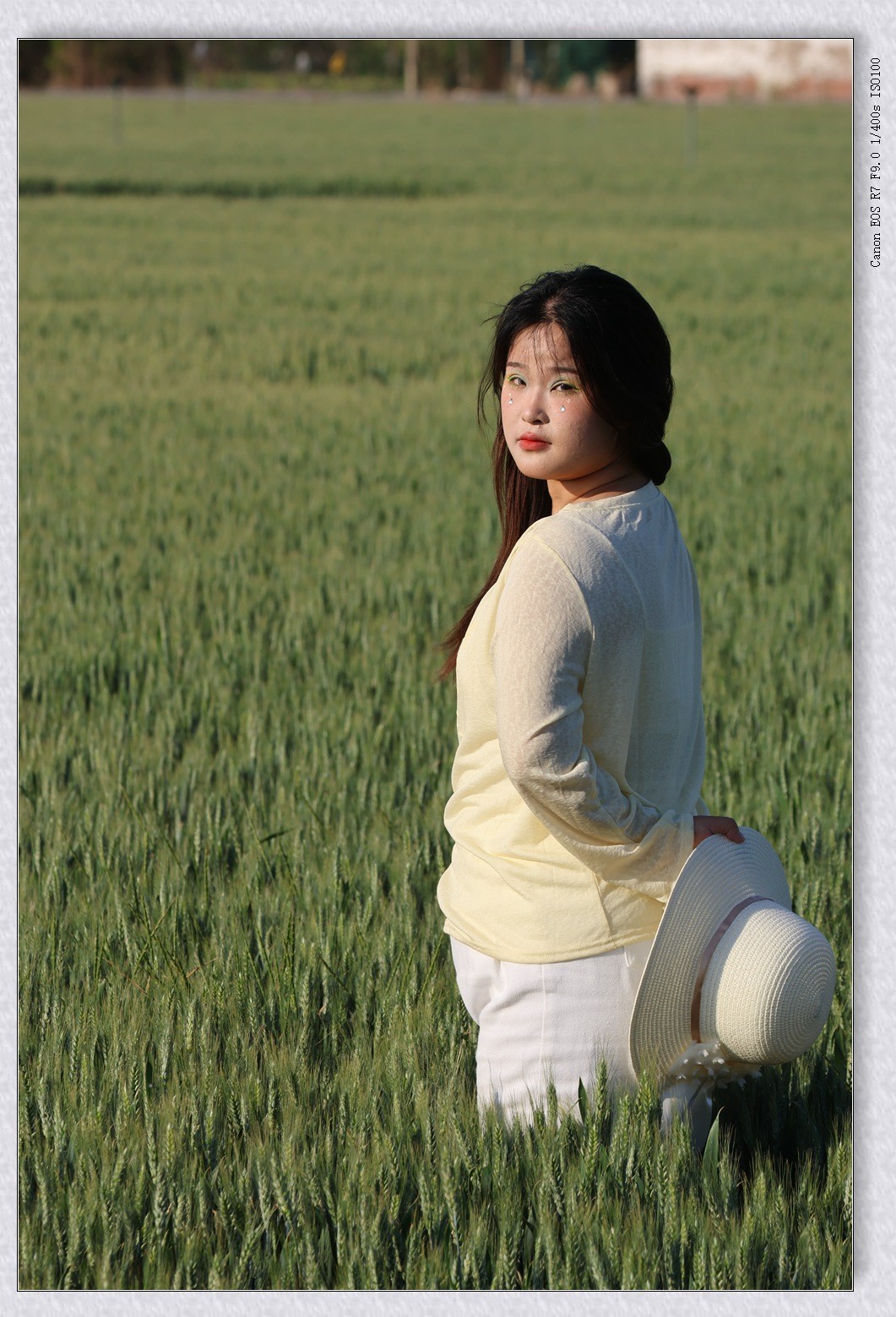 麦田【乙巳年132】