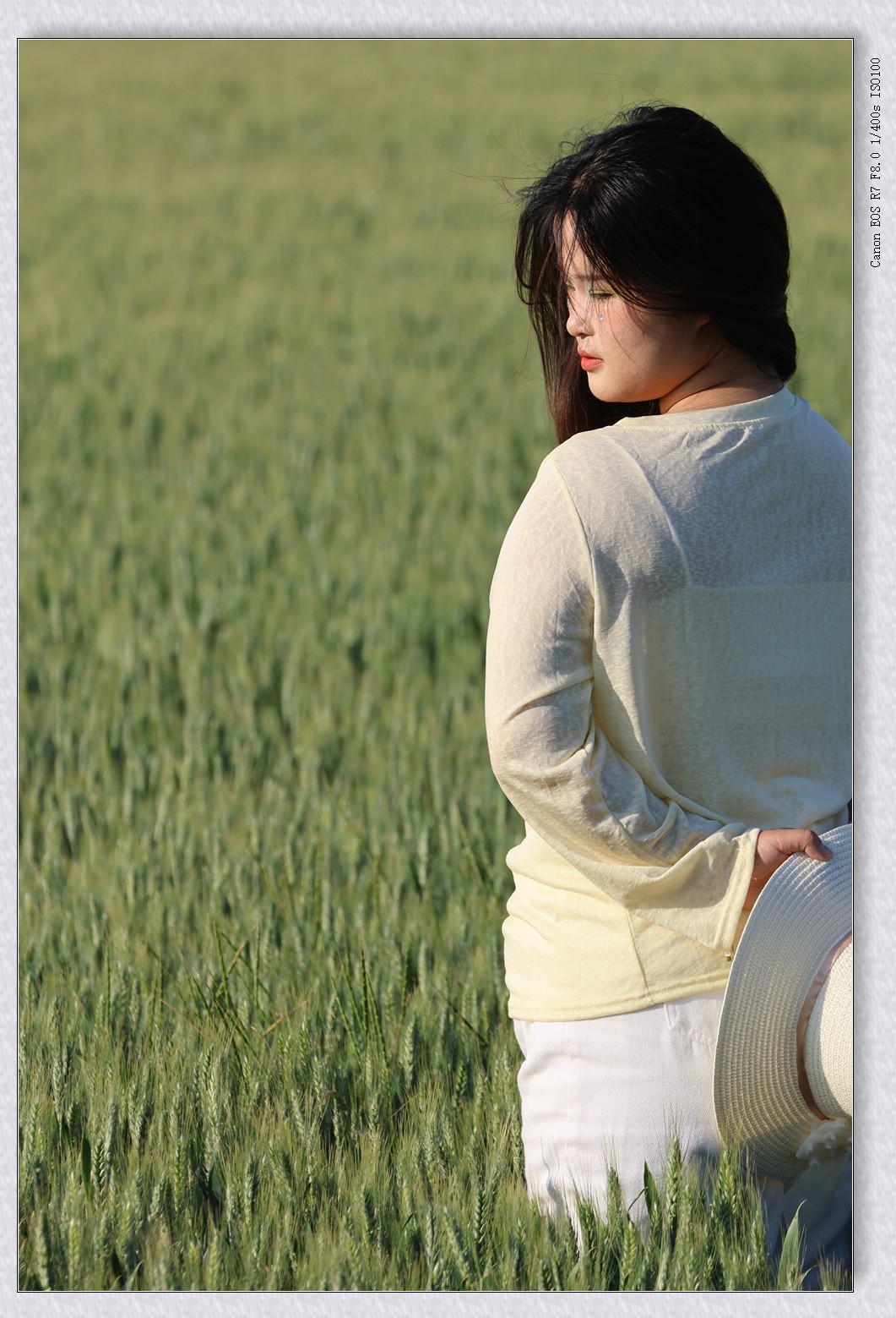 麦田【乙巳年132】