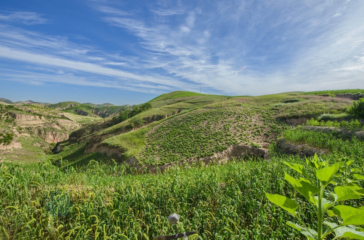 陕北黄土高坡