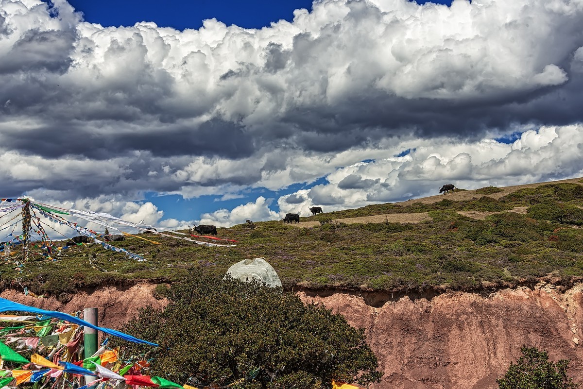 2019 . 06 . 离藏返川 · 芒康红拉山垭口（告假）