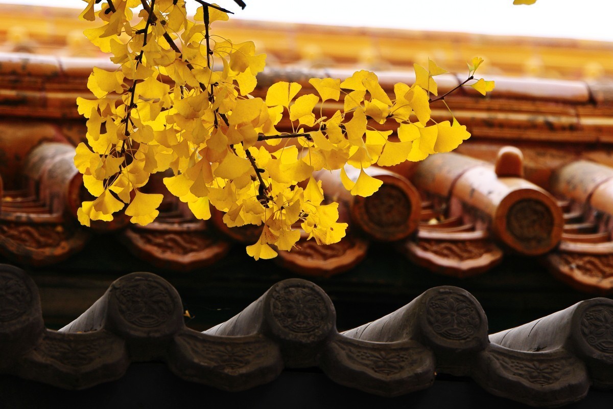 气势恢宏紫禁城