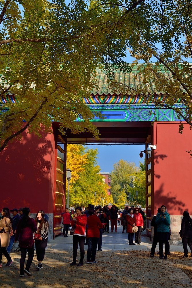 地坛秋色即景-2