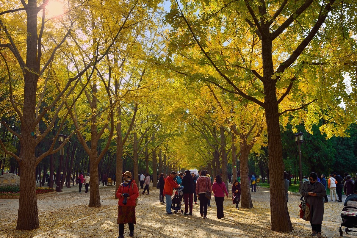 地坛秋色即景-2