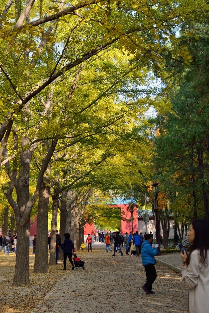 地坛秋色即景-2