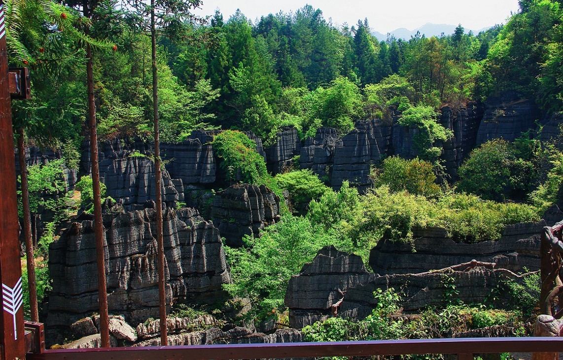 节日帖，庆五一劳动节《旅游抓拍片》祝大家节日愉快万事如意！