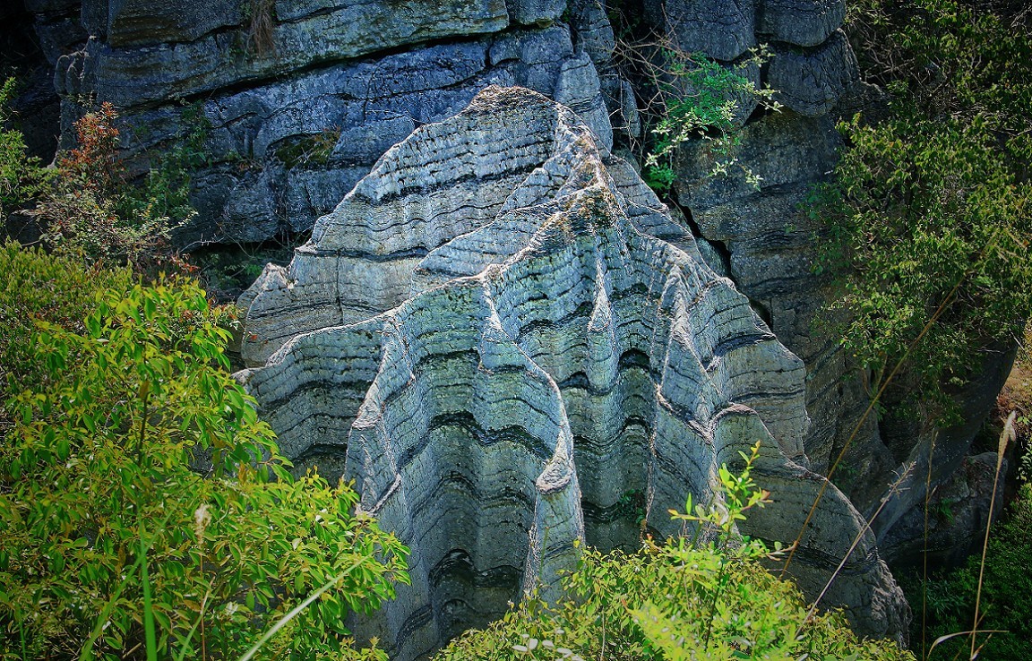 节日帖，庆五一劳动节《旅游抓拍片》祝大家节日愉快万事如意！