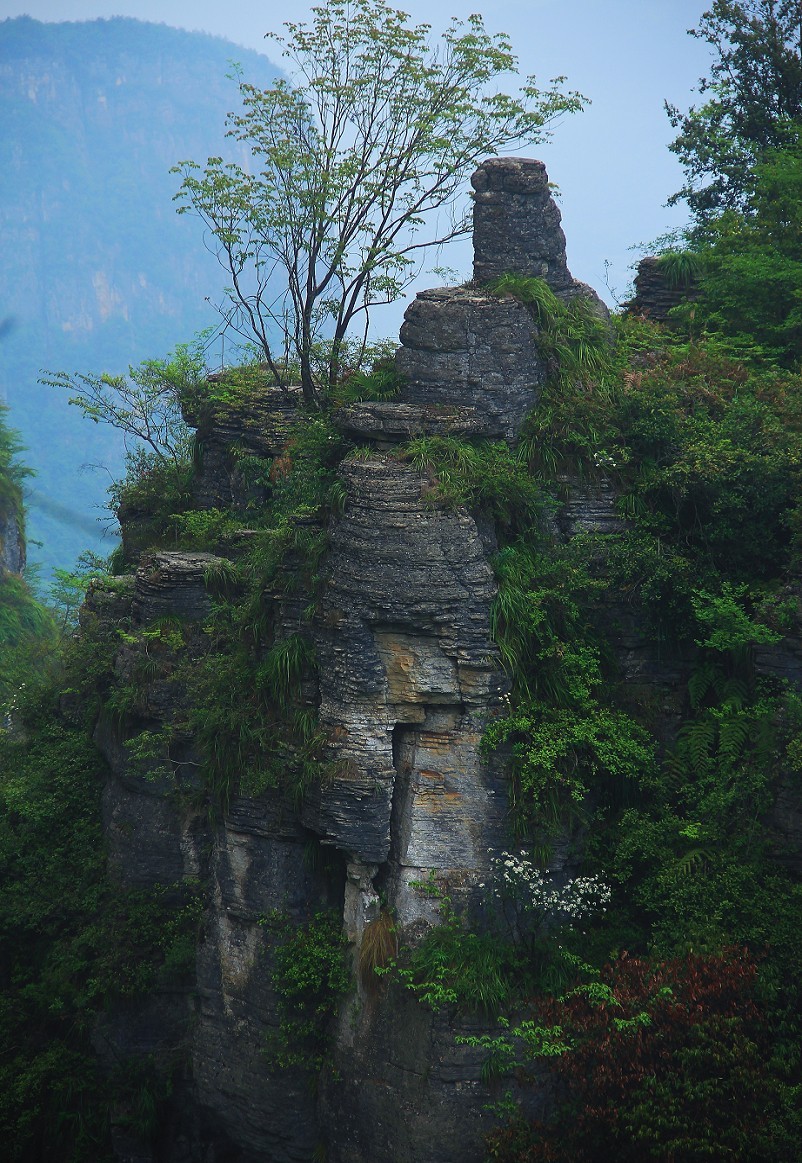 节日帖，庆五一劳动节《旅游抓拍片》祝大家节日愉快万事如意！