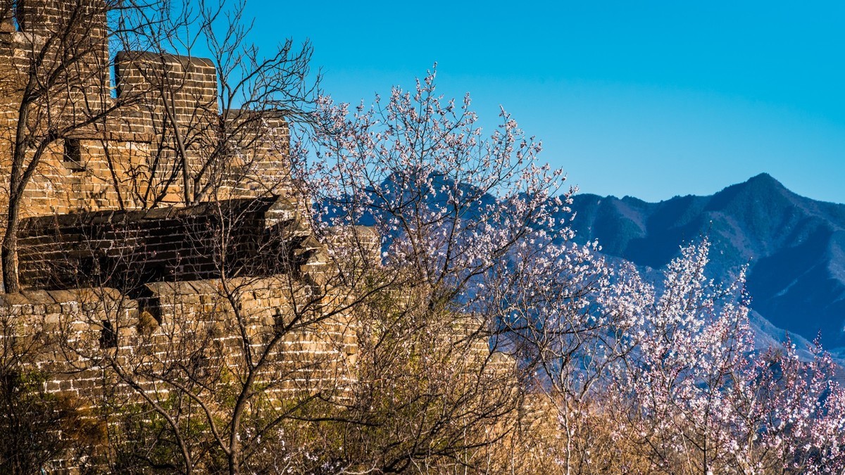 金山岭长城春色（十五）------待到山花烂漫时