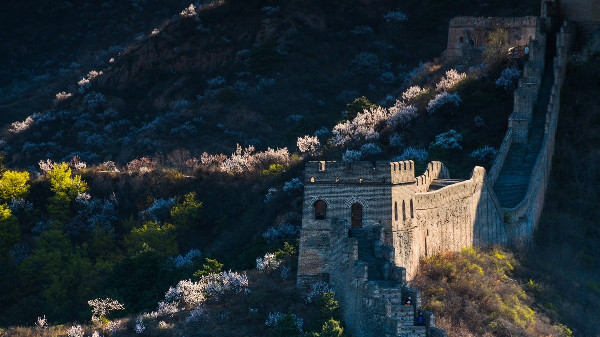 金山岭长城春色（十五）------待到山花烂漫时