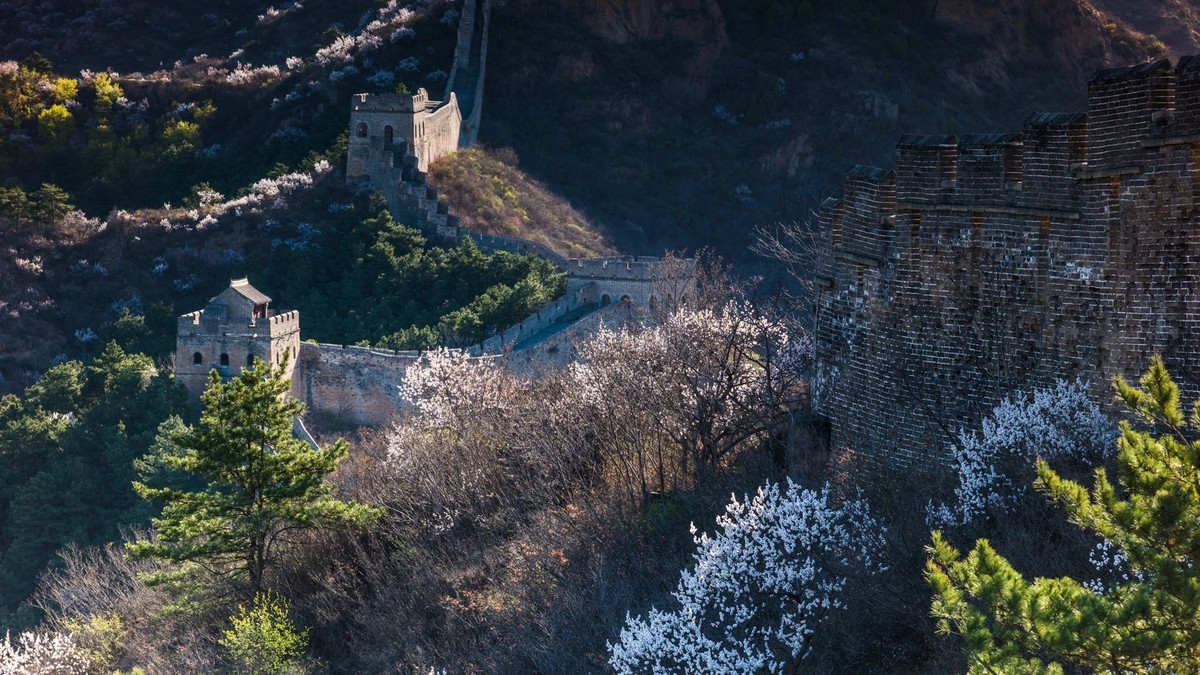 金山岭长城春色（十五）------待到山花烂漫时