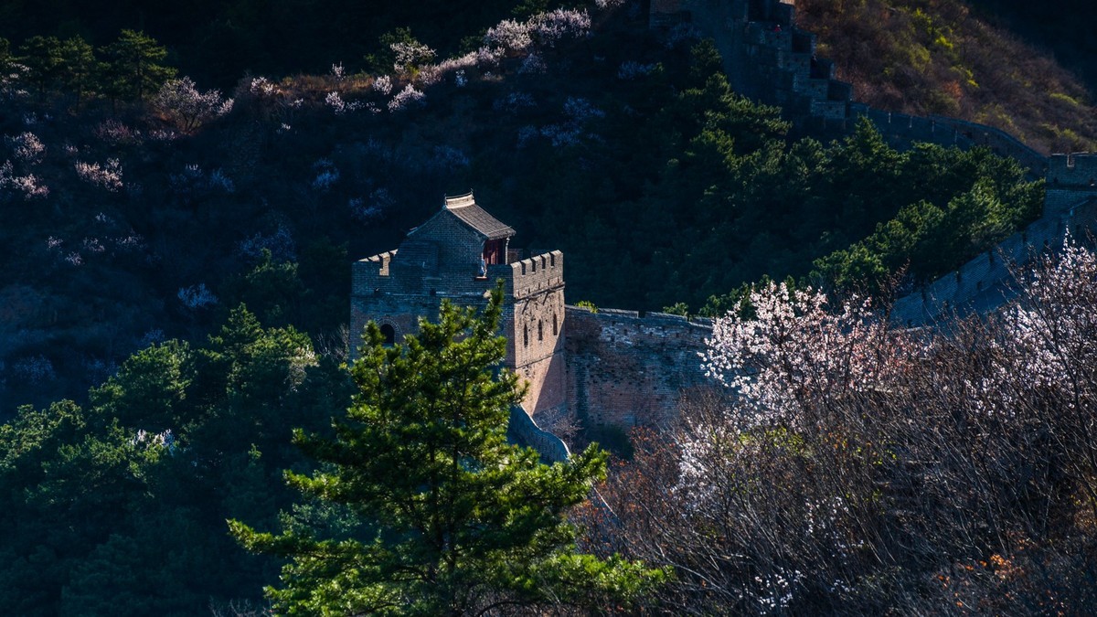 金山岭长城春色（十五）------待到山花烂漫时