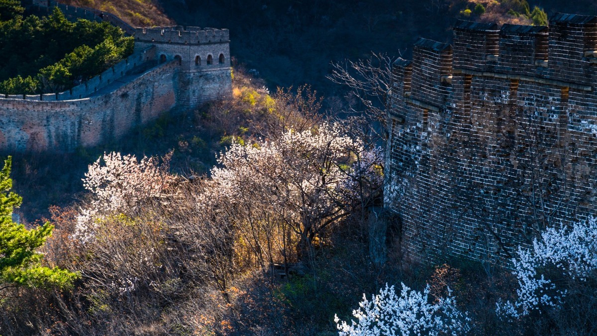 金山岭长城春色（十五）------待到山花烂漫时