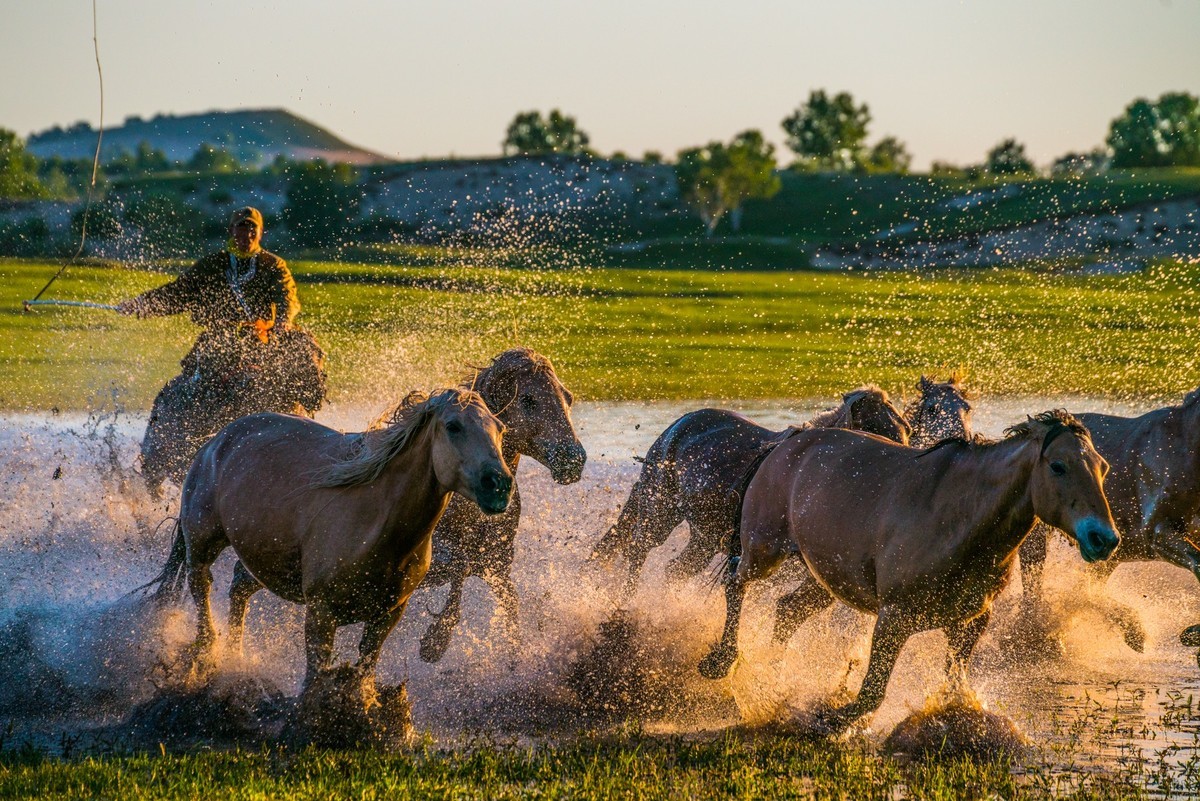 21.6 草原的夏天 （十一）------马踏飞浪