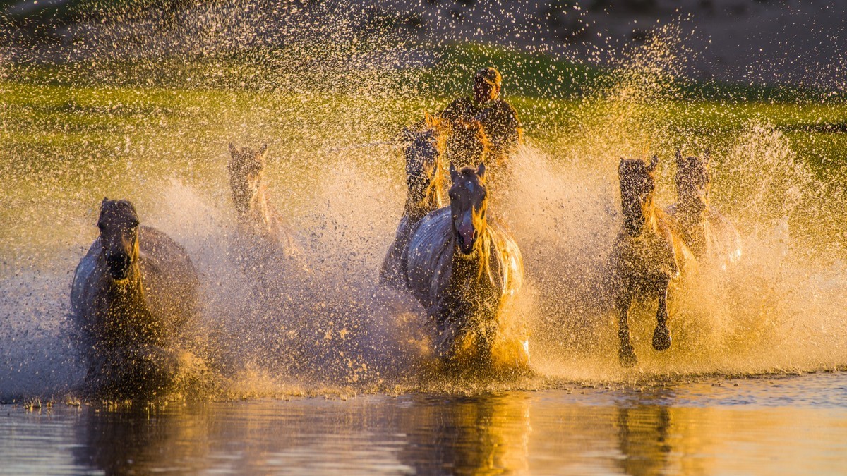 21.6 草原的夏天 （十一）------马踏飞浪