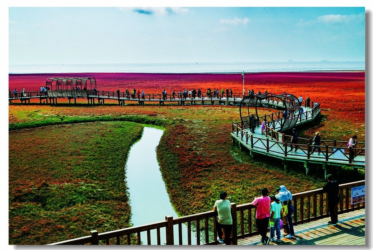 尼康Z8一一试机盘锦红海滩