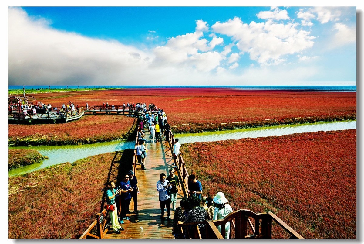 尼康Z8一一试机盘锦红海滩