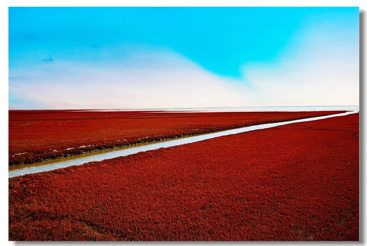 尼康Z8一一试机盘锦红海滩