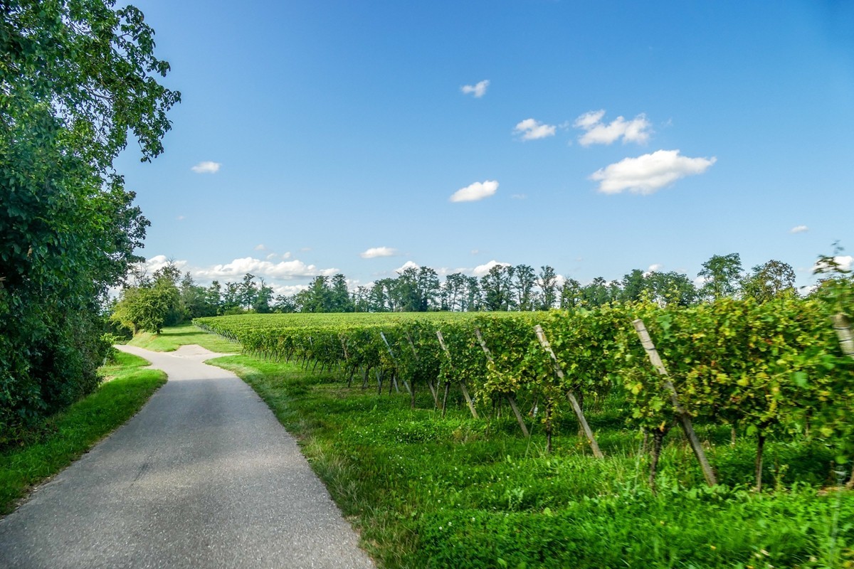 田园骑拍（南德）