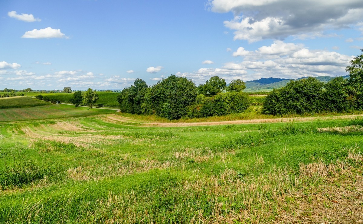 田园骑拍（南德）