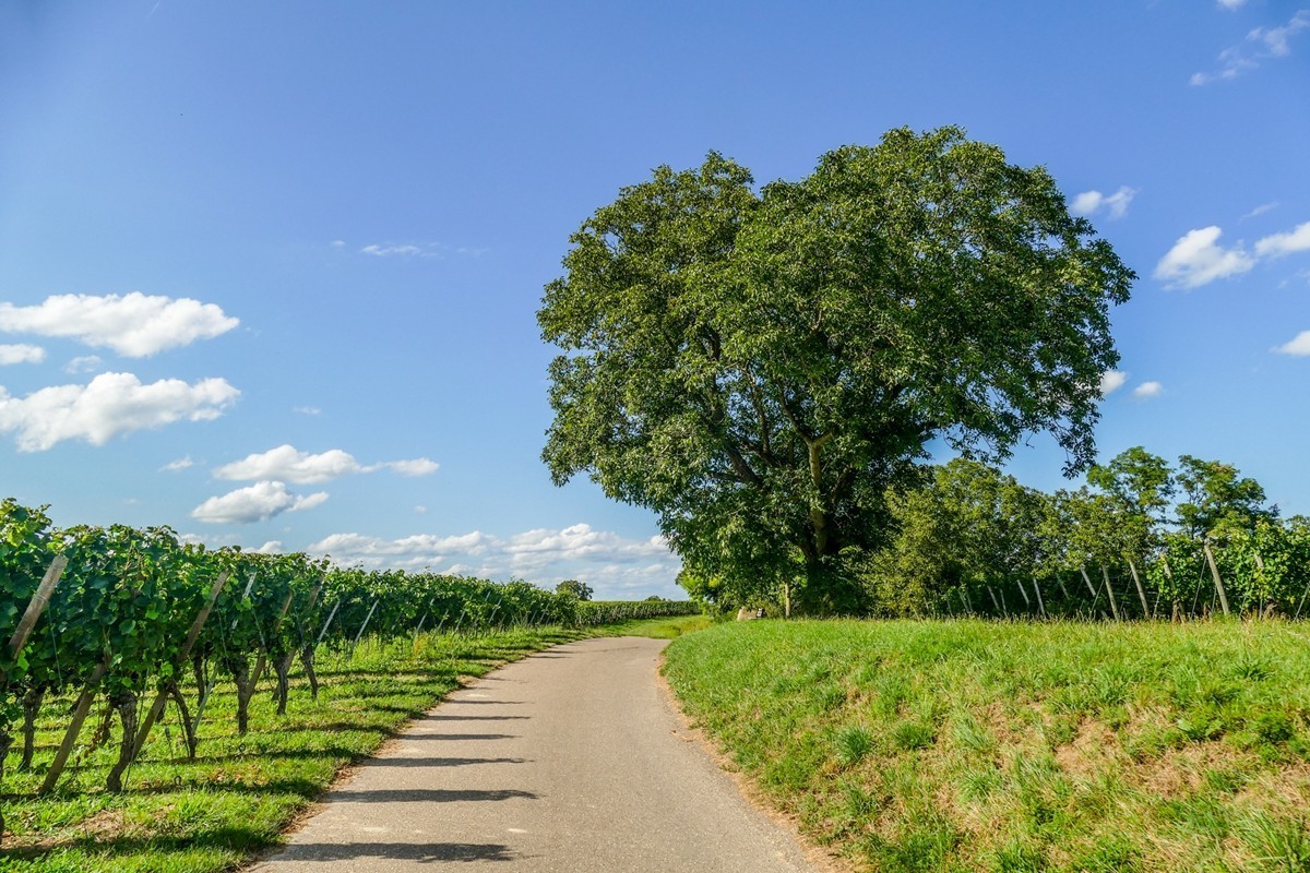 田园骑拍（南德）