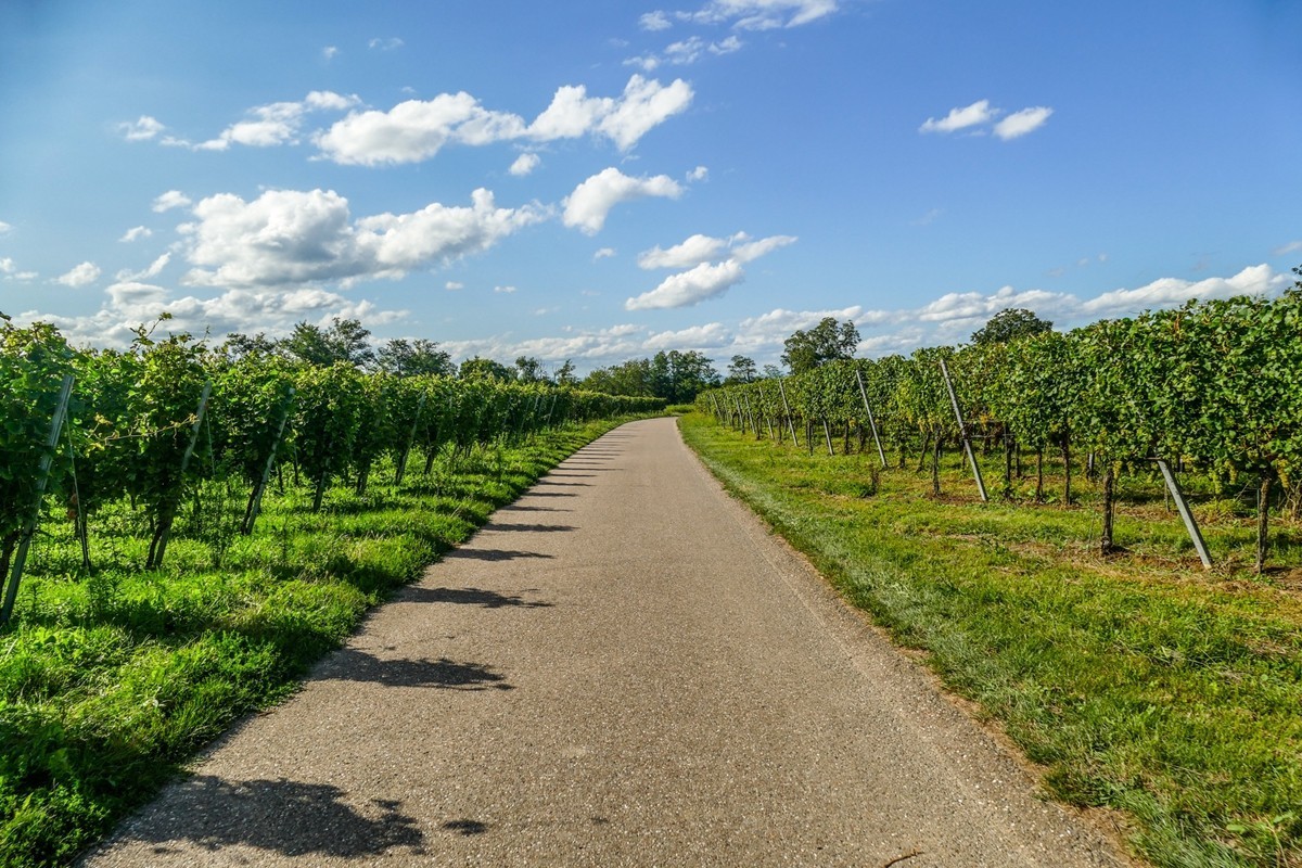 田园骑拍（南德）