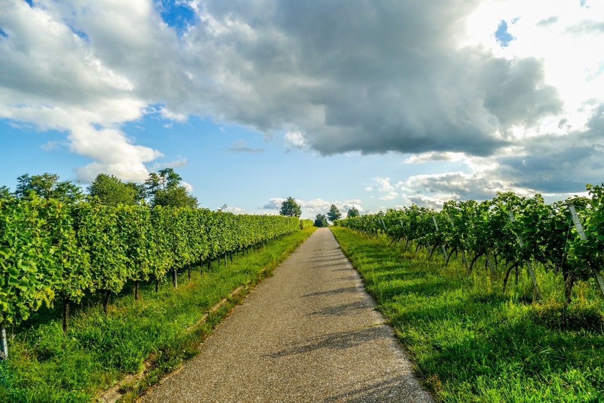 田园骑拍（南德）