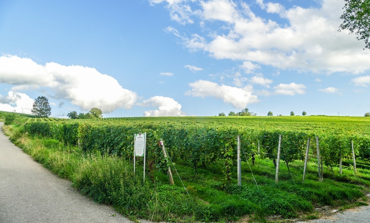田园骑拍（南德）