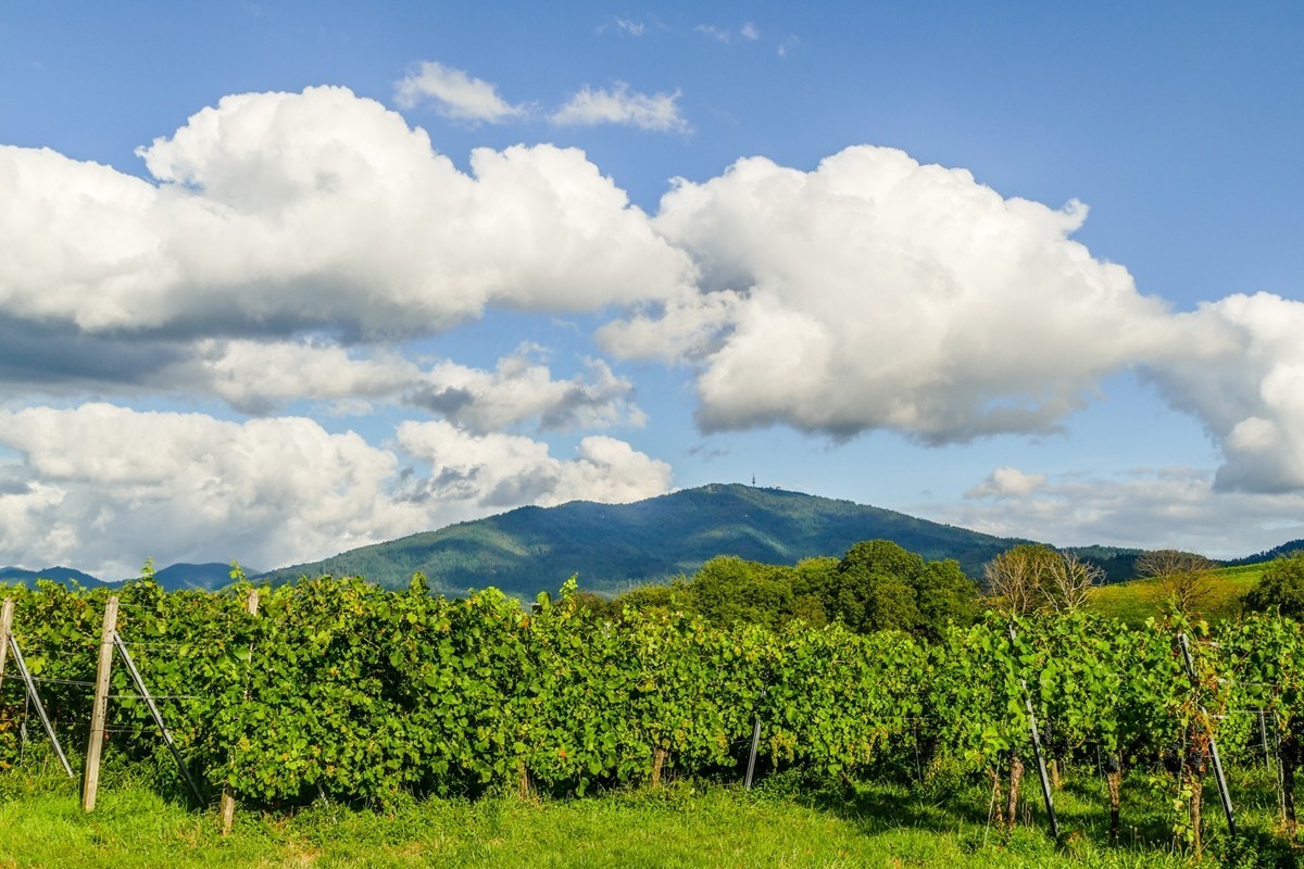 田园骑拍（南德）