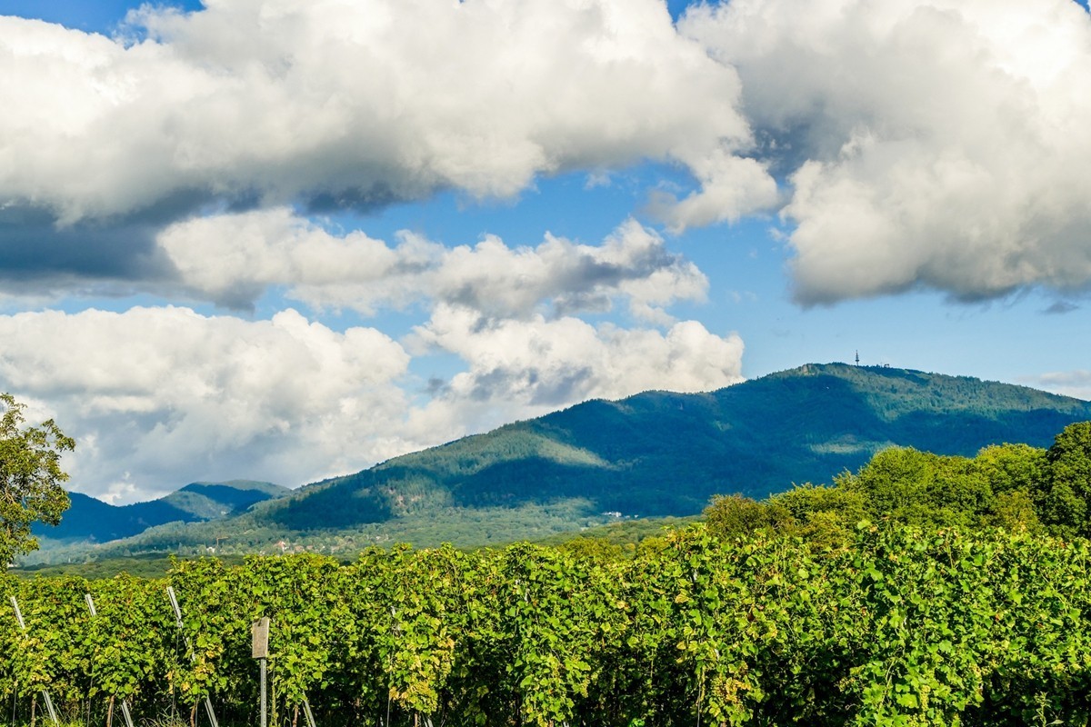田园骑拍（南德）