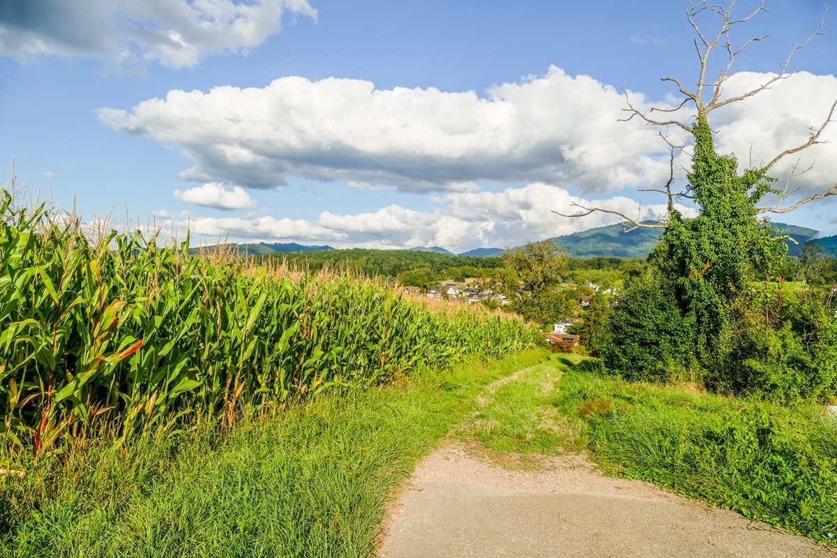 田园骑拍（南德）