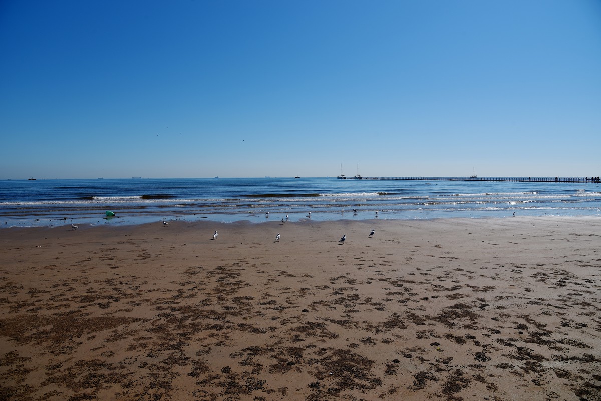 北戴河浅水湾海滩拾影（续）